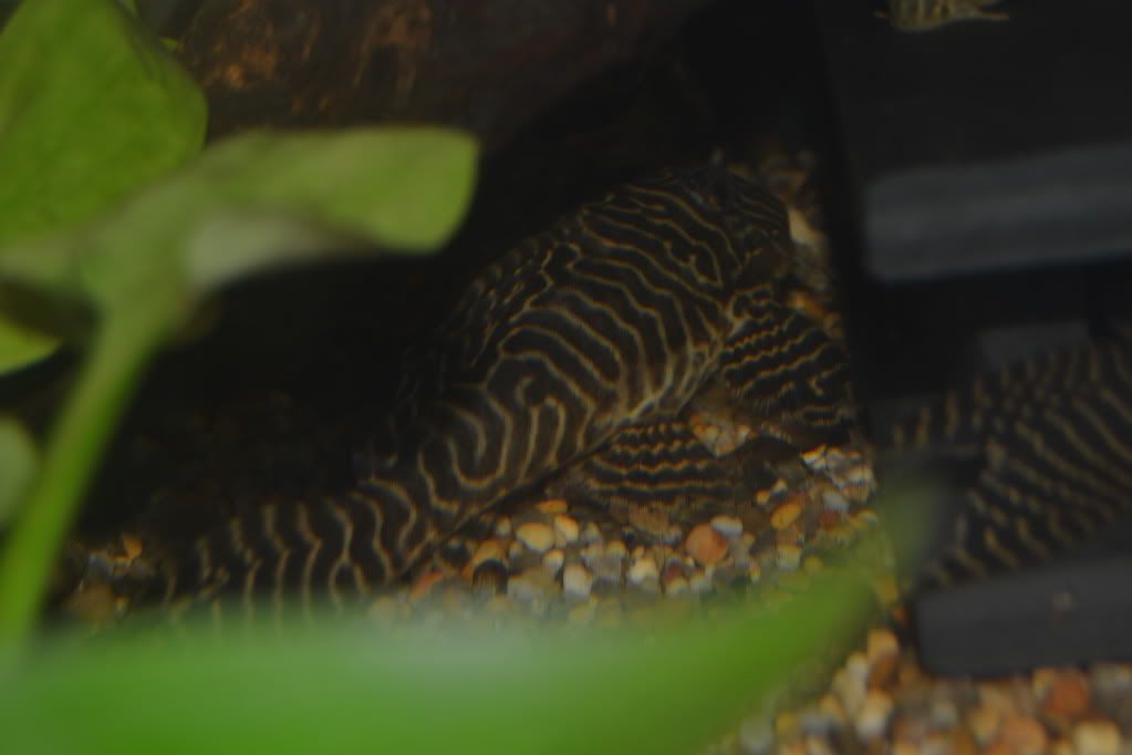 DSC_0353.jpg
