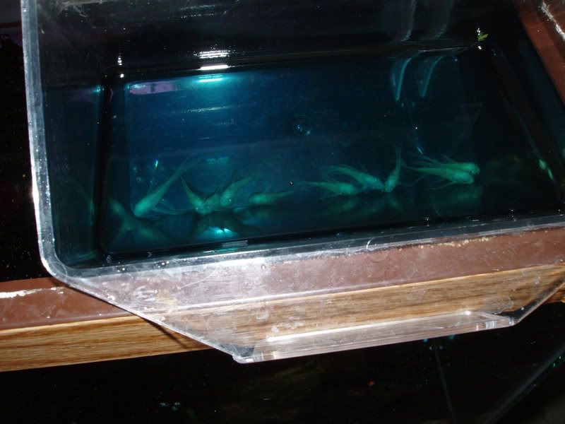 P9300097.jpg