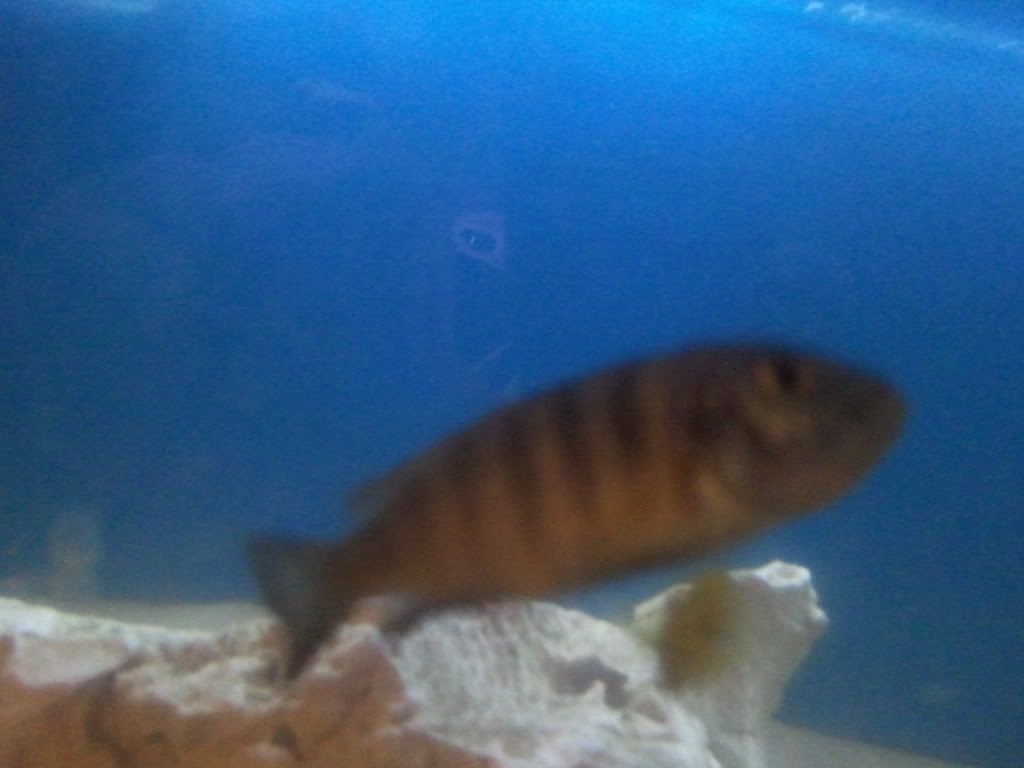 2012-02-03211340.jpg