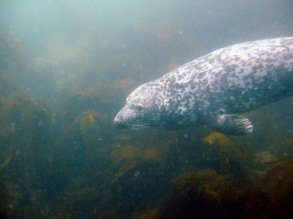 DSCF6068.jpg