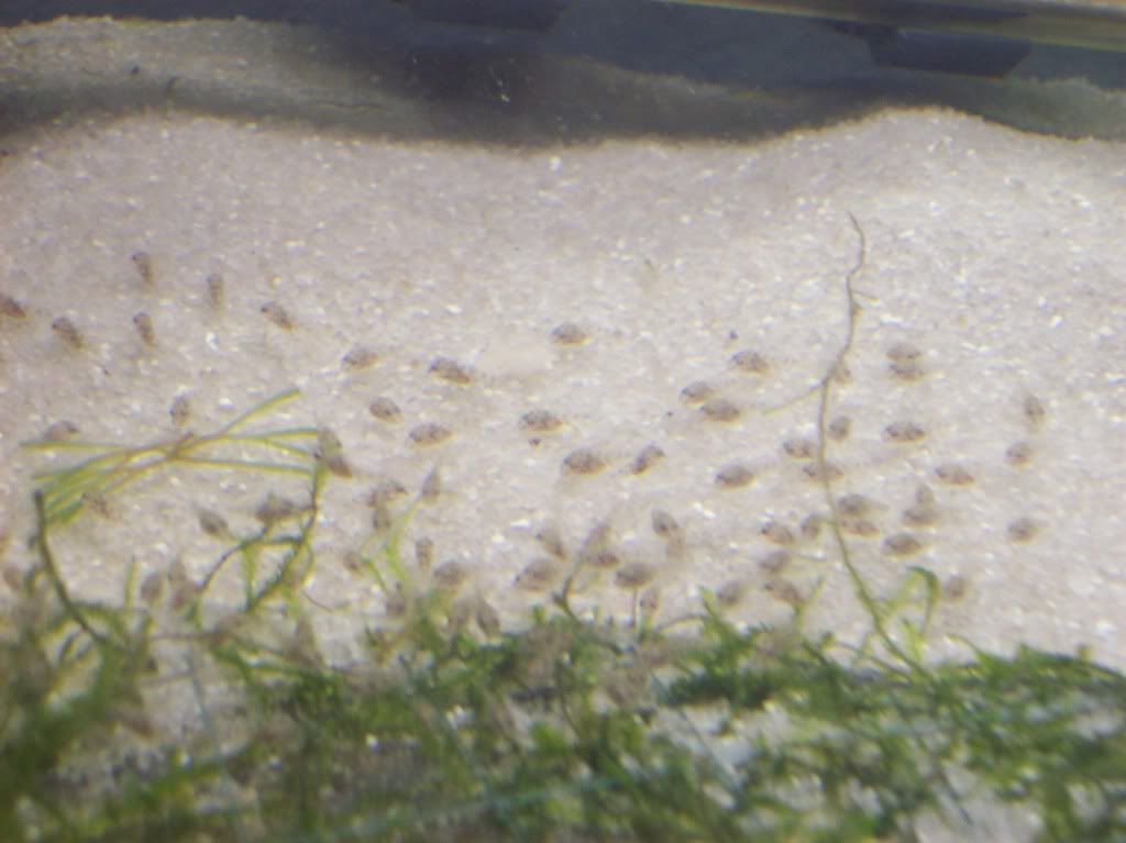 100_0612.jpg