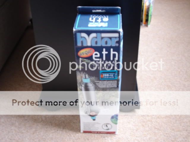 DSC03153.jpg
