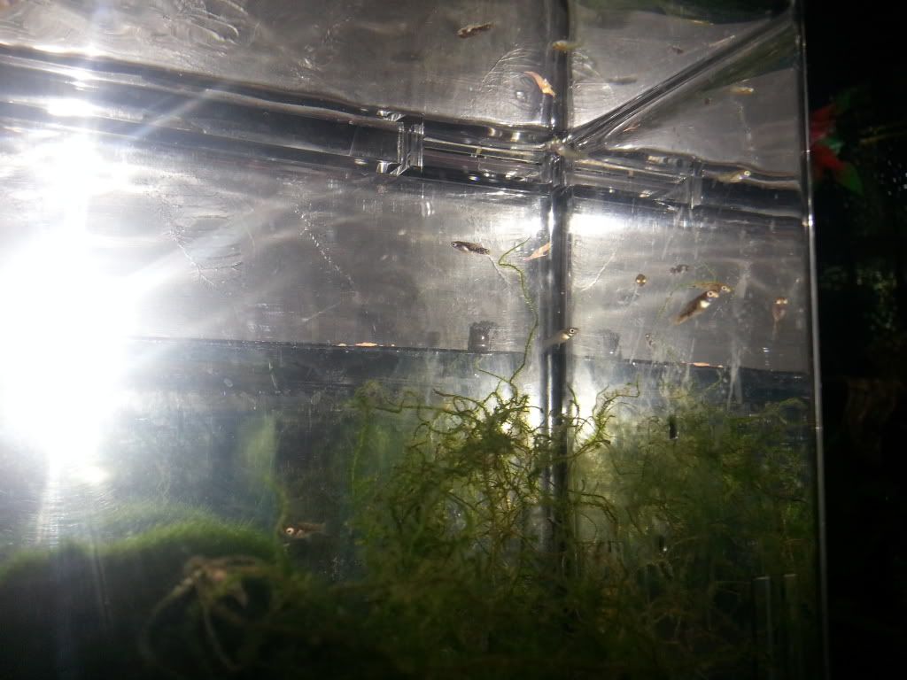 20121218_102105_zps0f511bda.jpg