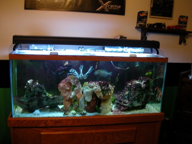 Picture191-1.jpg