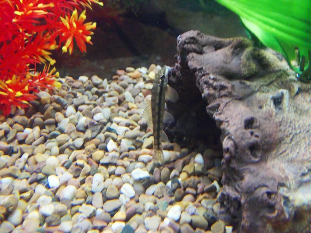 DSCF1283.jpg