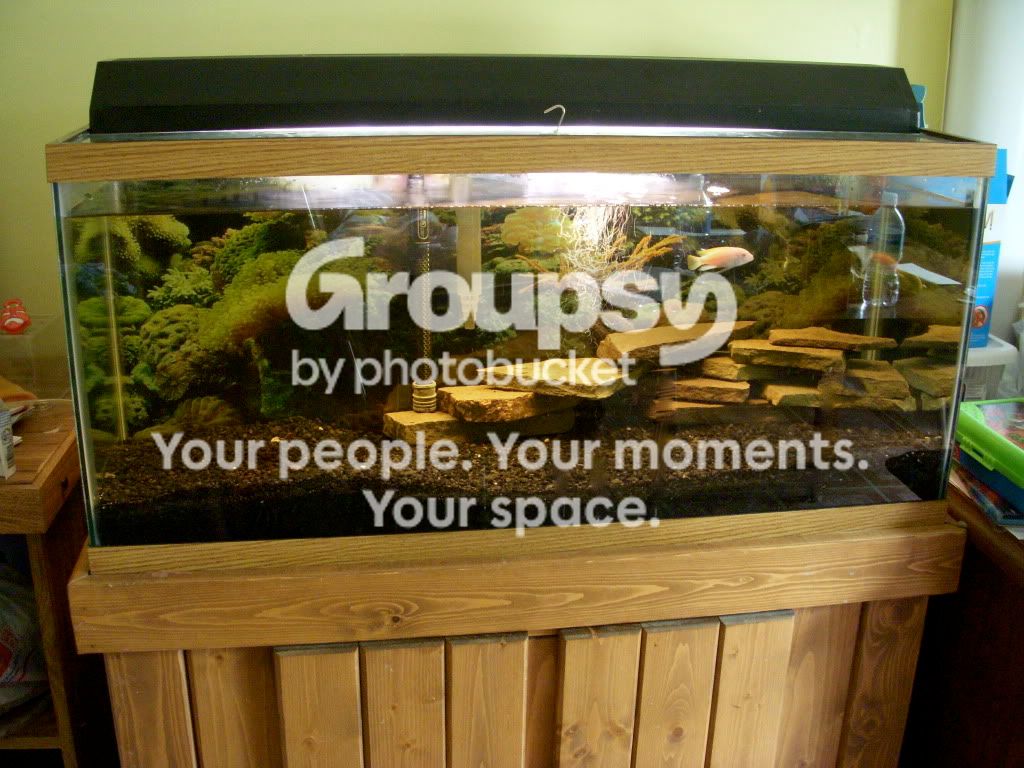 DSCN2408.jpg