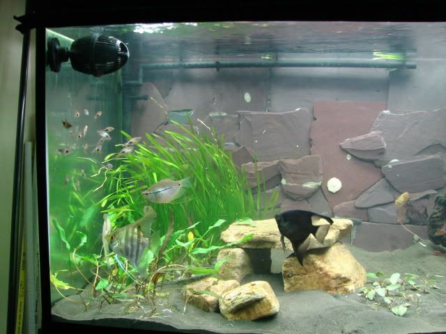 DSC00091.jpg
