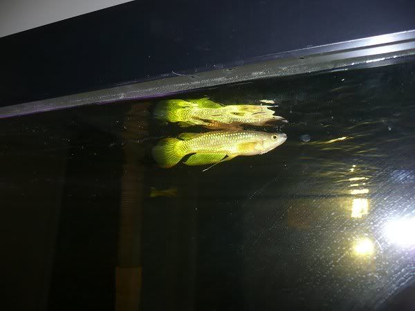 4-29-10.jpg