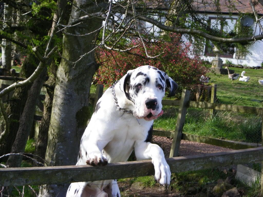 DSCF0431.jpg