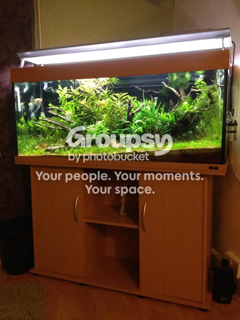 photo6.jpg