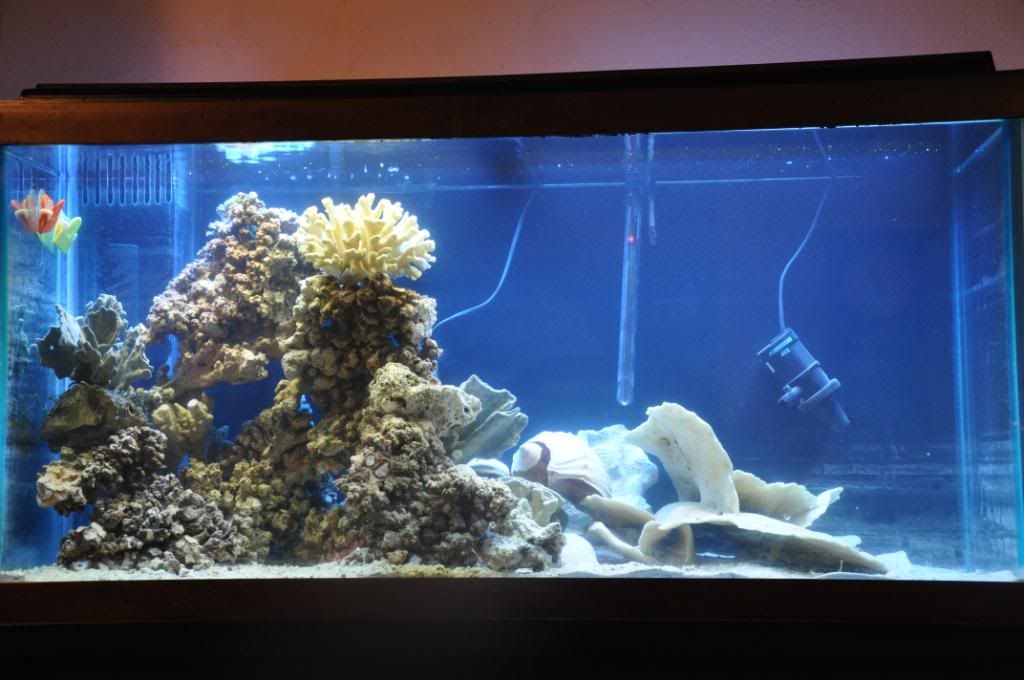 fishpictures009.jpg