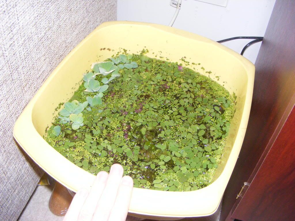 DSCF1448.jpg