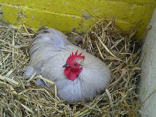 Photo0123.jpg