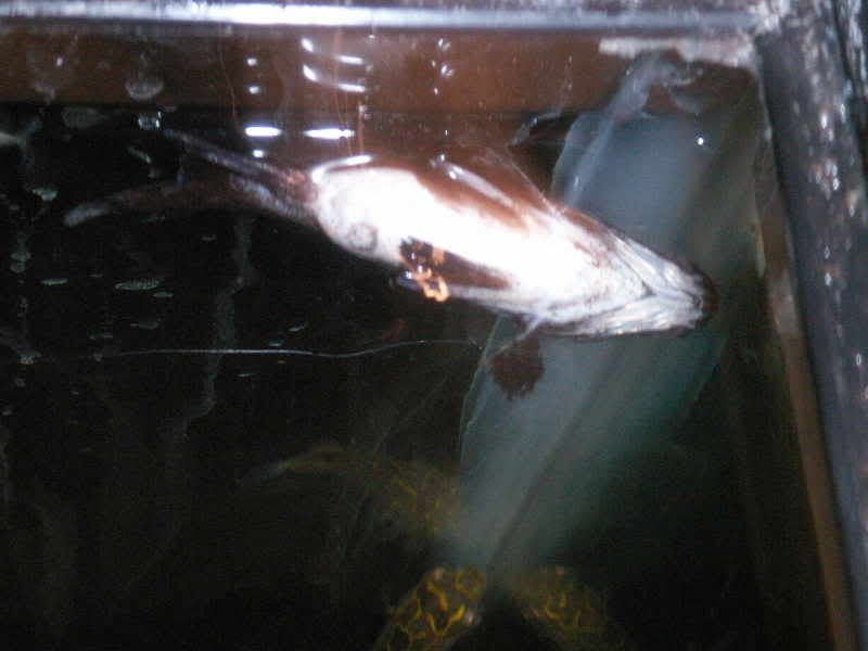 PICT0002_01.jpg