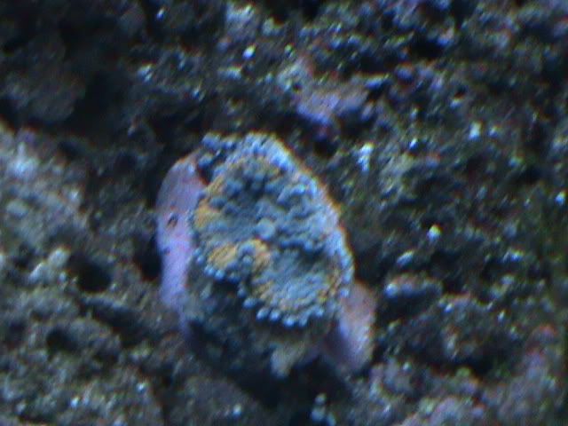 DSC00036.jpg
