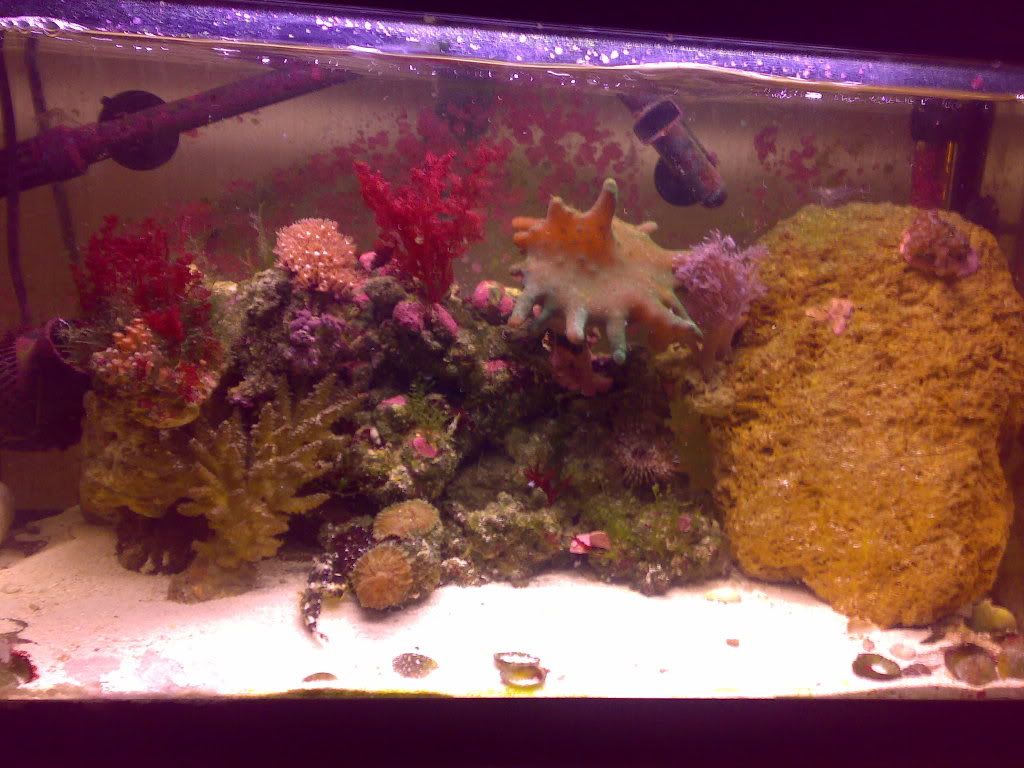 12042009403.jpg