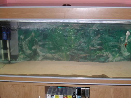 NewTank029.jpg
