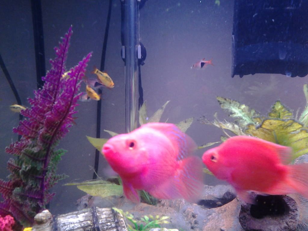 20121227_200259.jpg