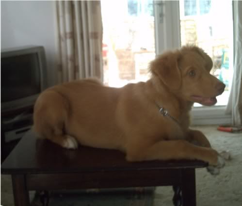 IMAG09126.jpg