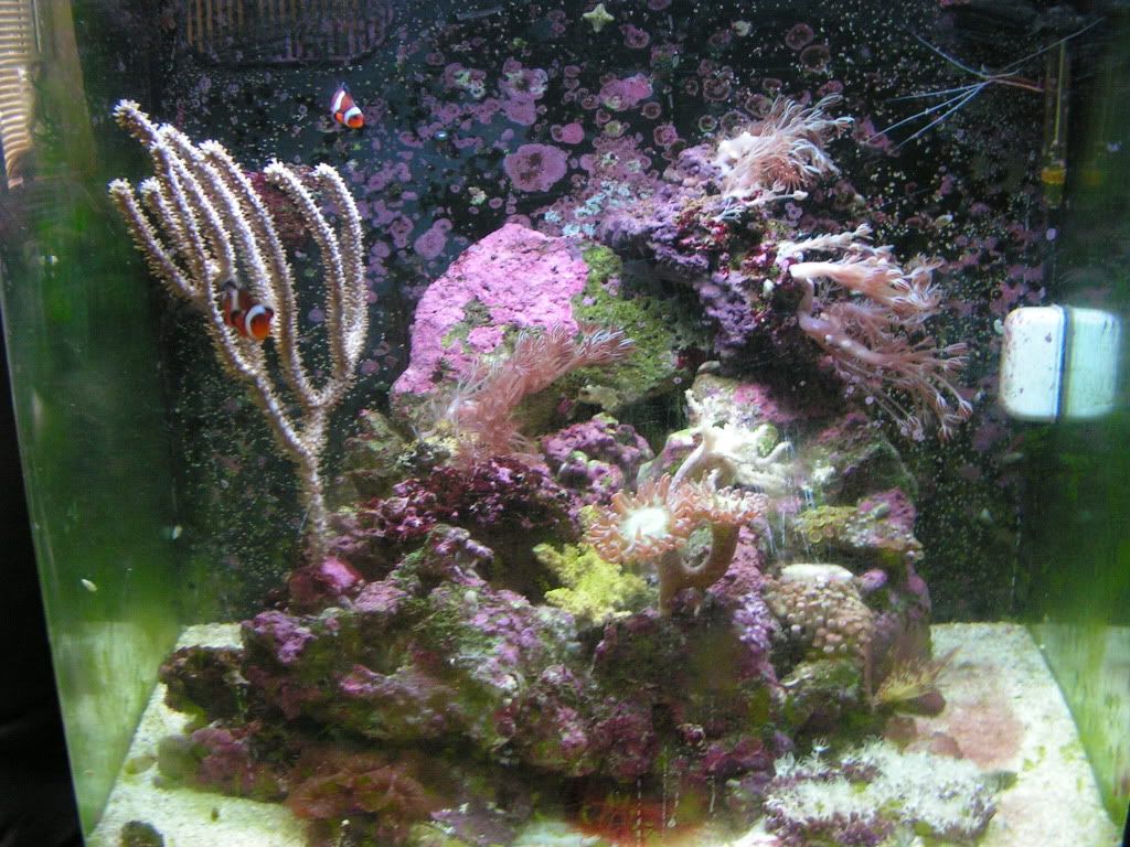 PICT1467.jpg