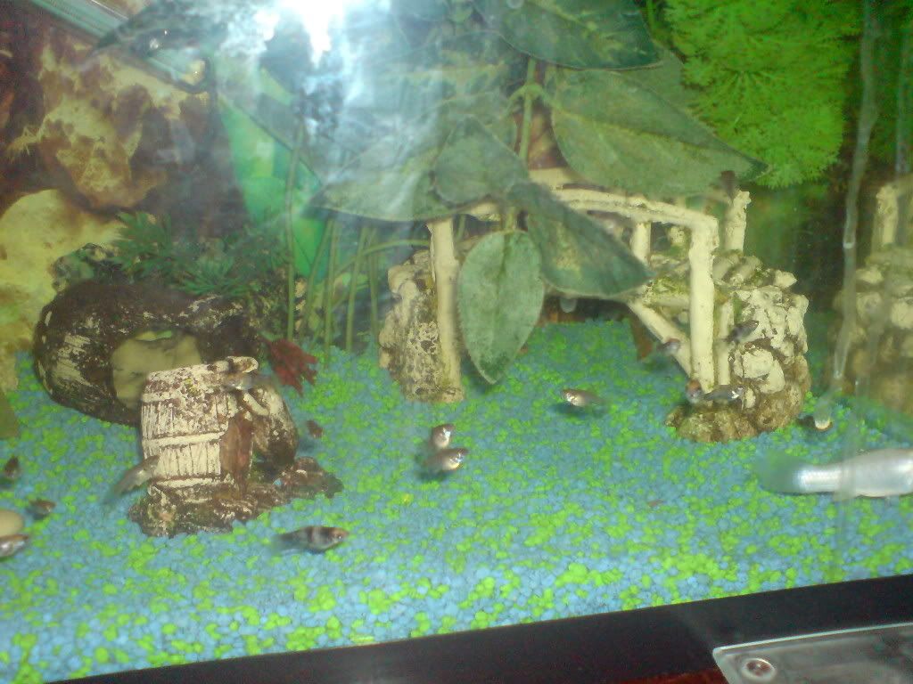 DSC01447.jpg