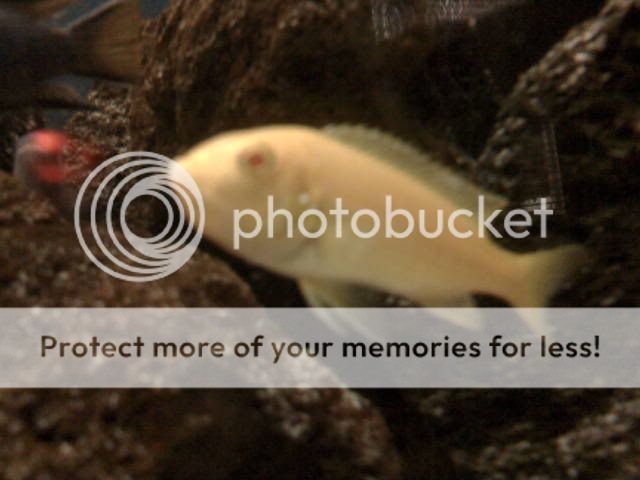 Photo00003.jpg