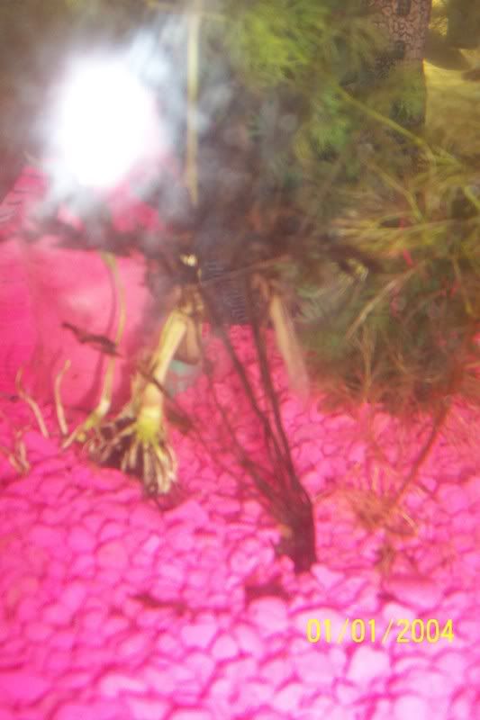 100_1209.jpg