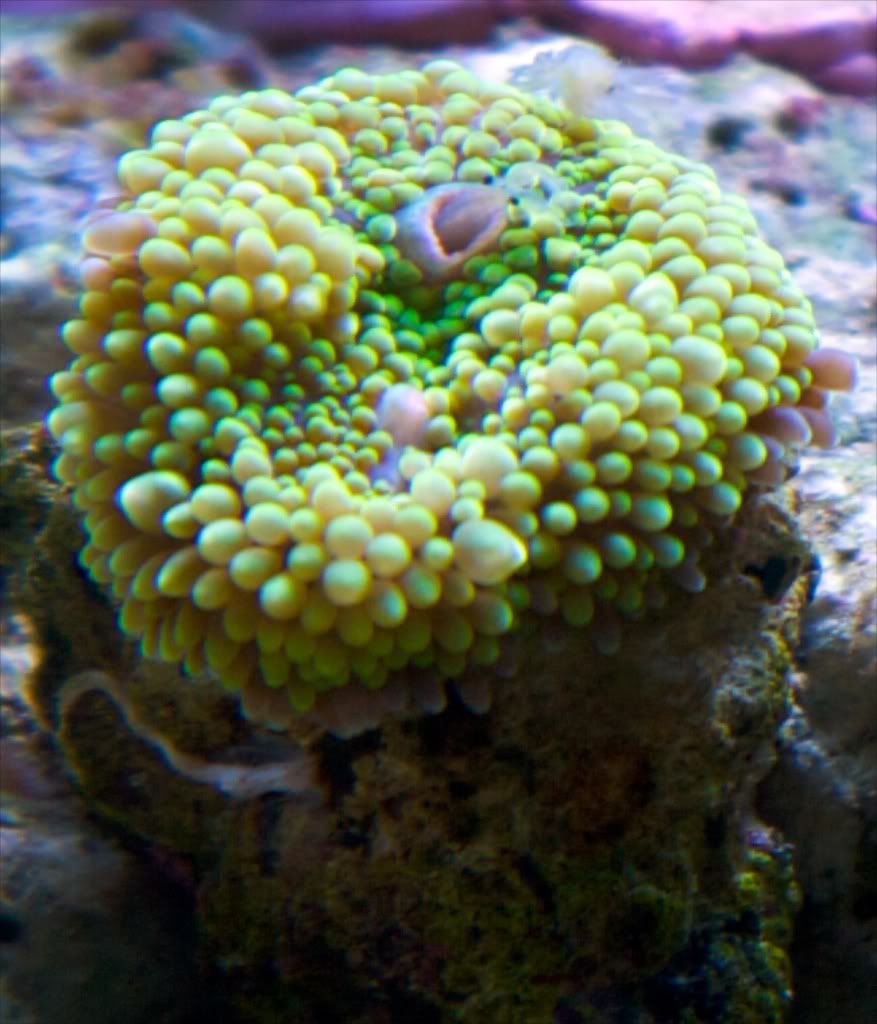 IMG_6172.jpg
