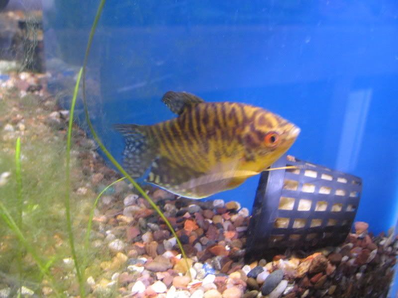 aqualand017.jpg
