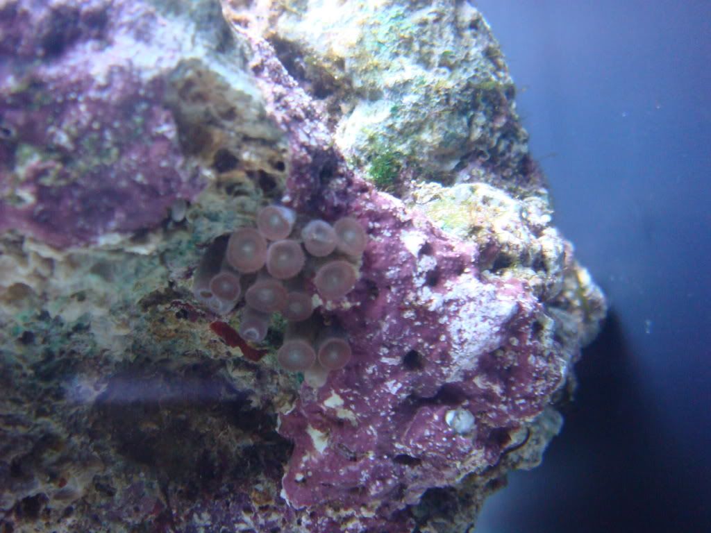 DSC01674.jpg