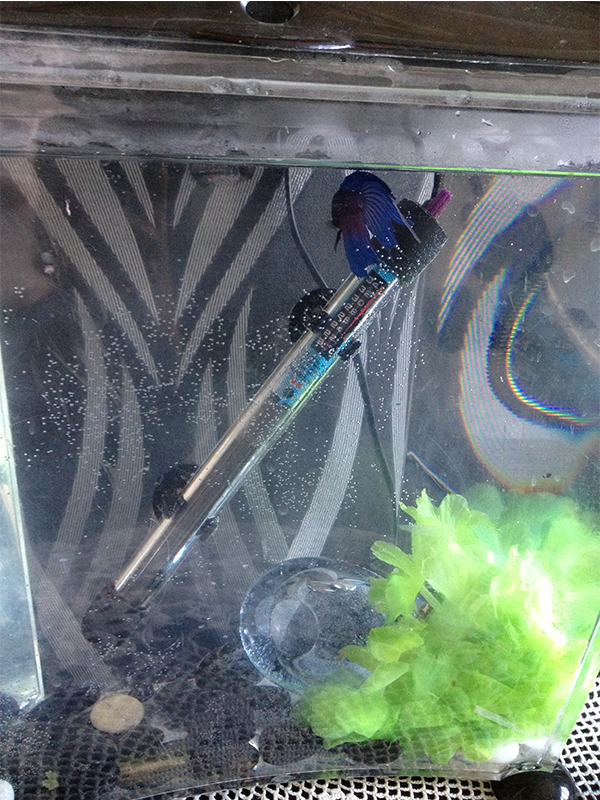 temptank_zpse14fda11.png