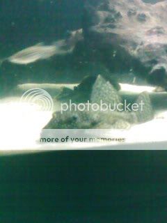 IMG151.jpg