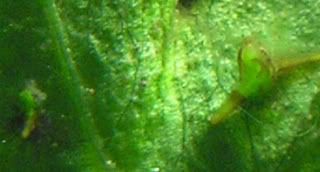 IMG010.jpg