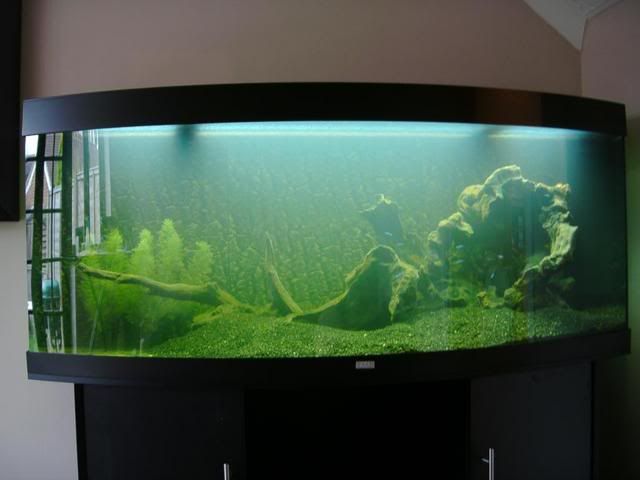 IMAG0004.jpg