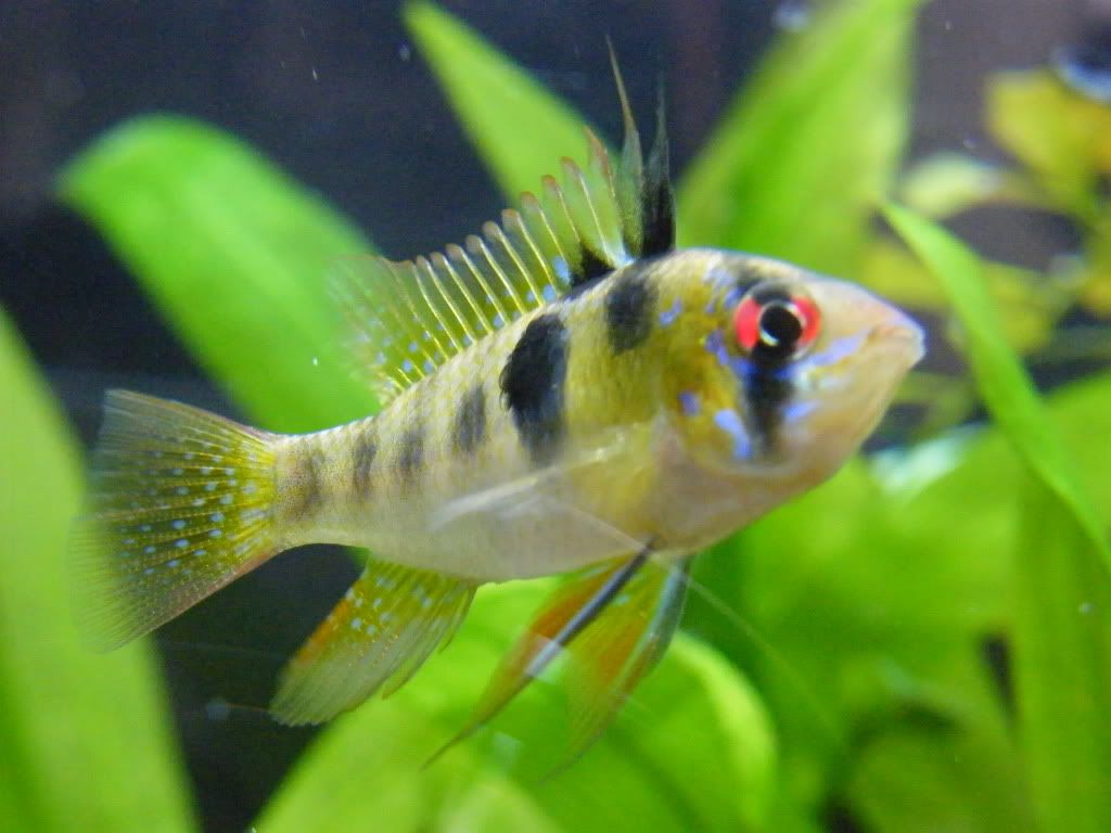 DSCF4714.jpg