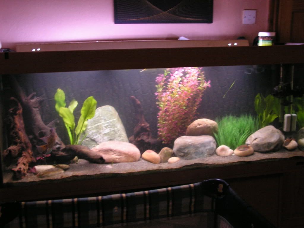 PICT1506.jpg