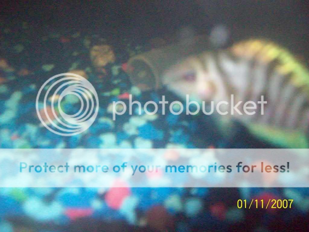 100_1316.jpg
