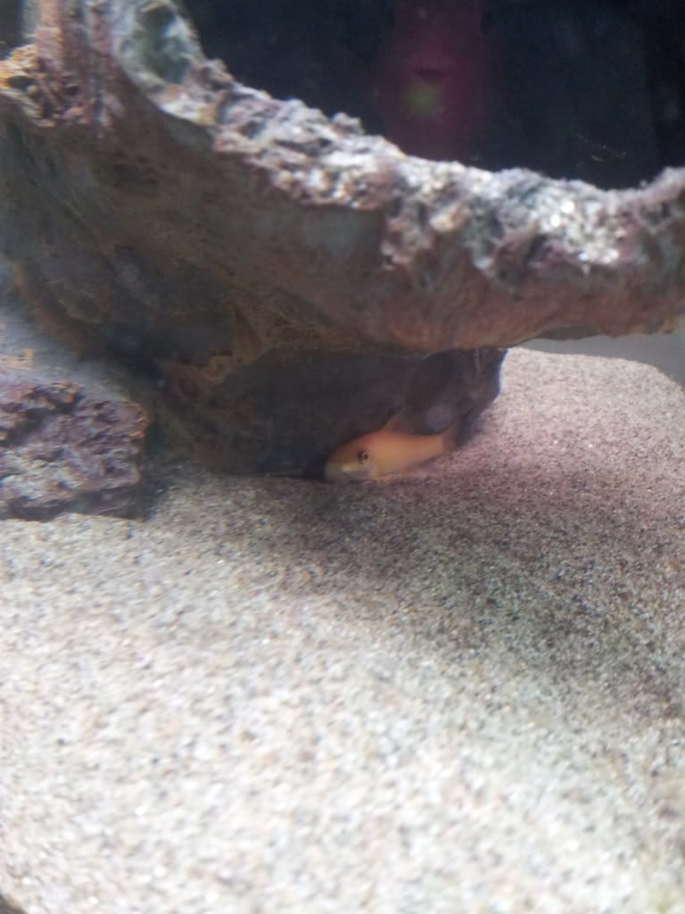20121229_141810.jpg
