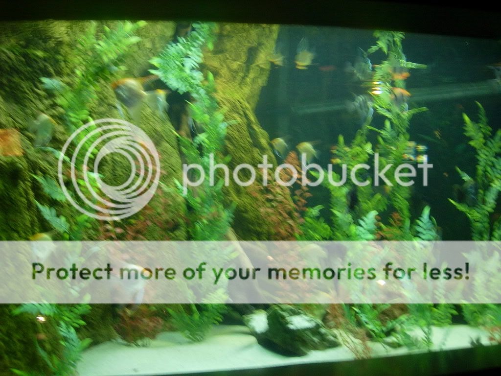 2008081.jpg