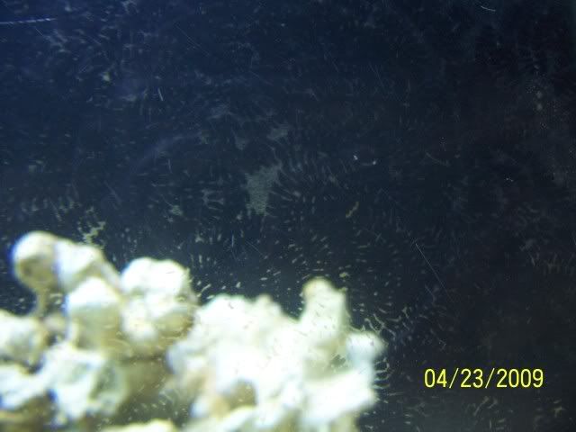 100_5452.jpg