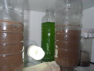 SDC11490.jpg