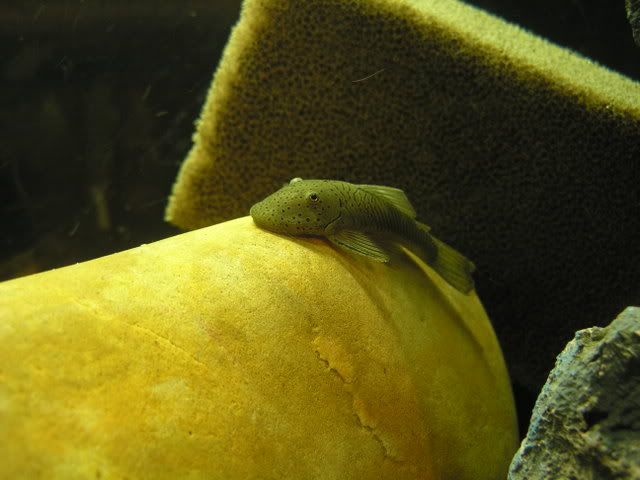 IMG022-2.jpg