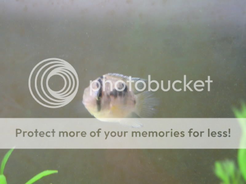 PictureorVideo284.jpg