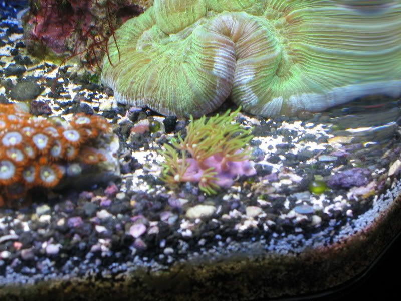IMG_0097.jpg