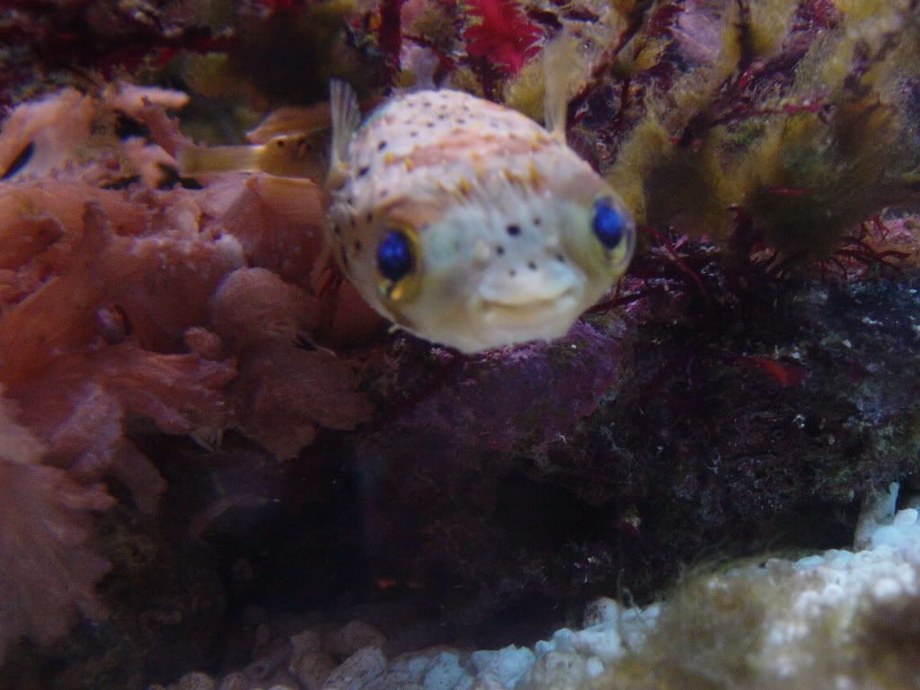 DSC00645.jpg