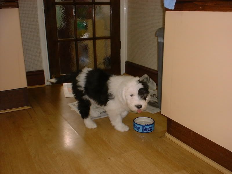 DSCF1691.jpg