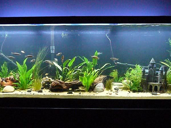 5-9-15.jpg