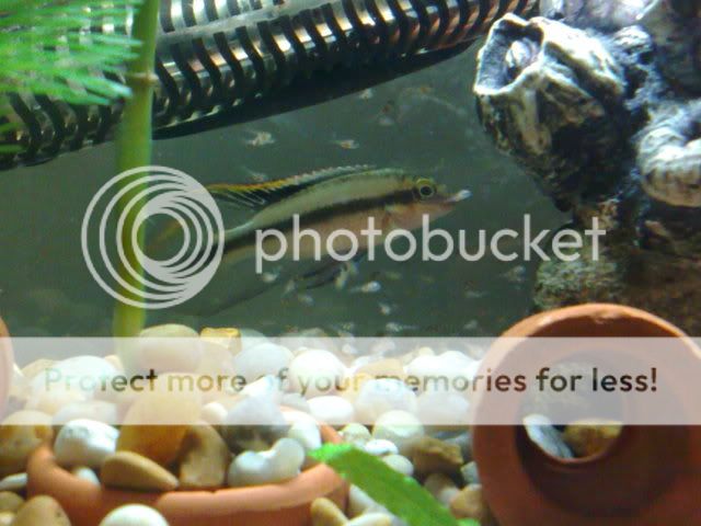 20122008013.jpg