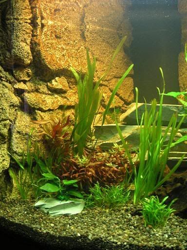 PICT0400.jpg