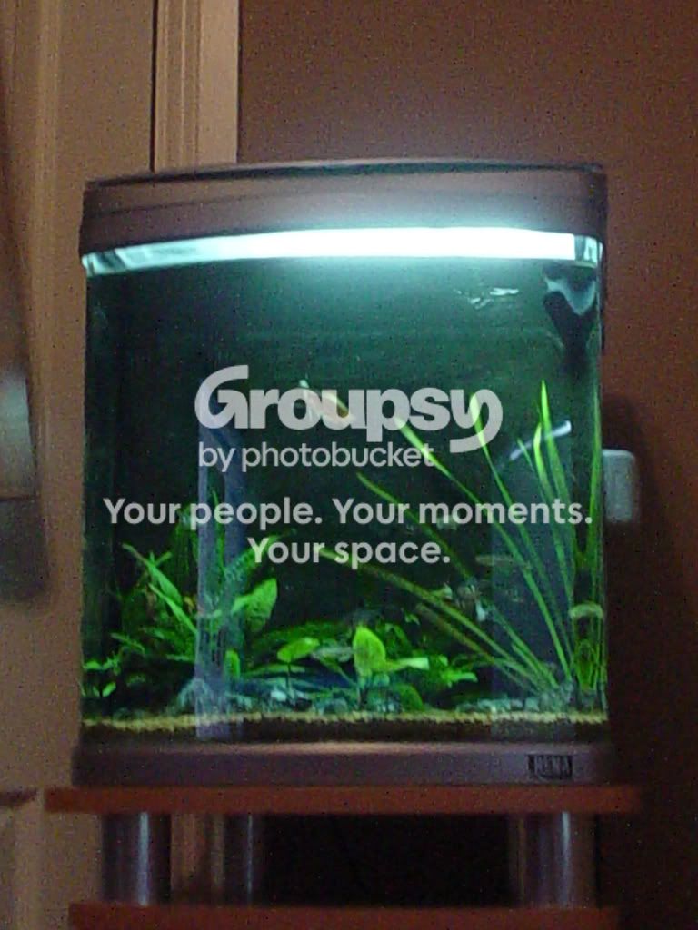 DSC03156.jpg